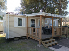 Beau Mobil home 64